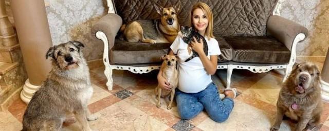 Ольга Орлова рассказала, что ее кошка провела ночь в ветклинике из-за острого панкреатита