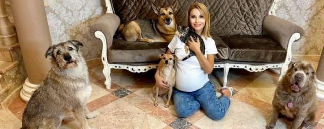 Ольга Орлова сообщила о пропаже и поиске своей кошки Сони