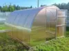 Садовые теплицы из поликарбоната: особенности и преимущества