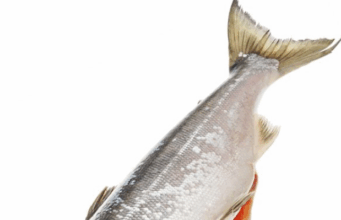 Заморозка vs свежая рыба: что выбрать