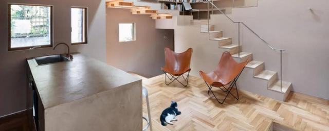 Японский архитектор Тан Яманути создал дом для своей семьи и кошек